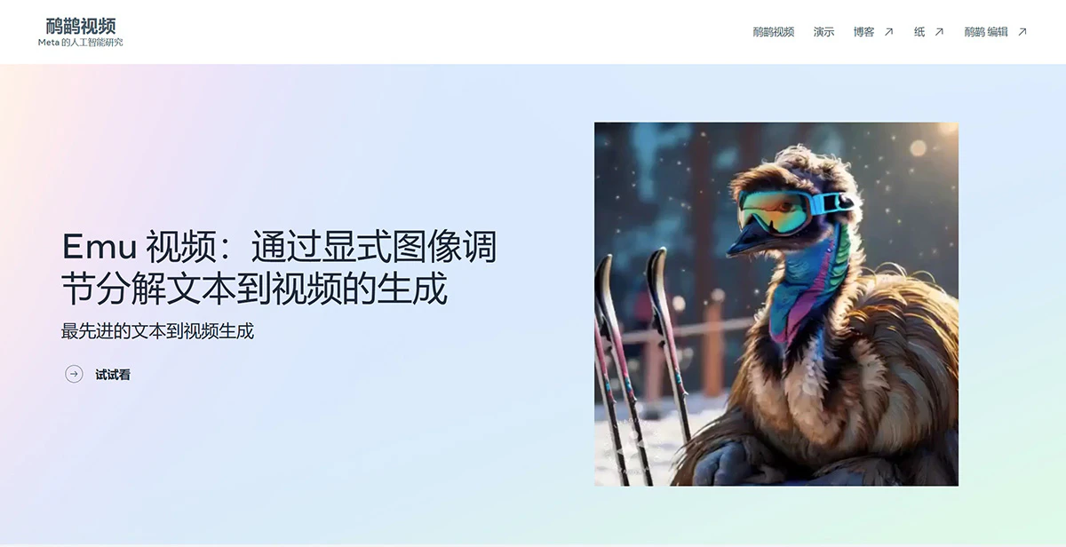 Emu Video 简介